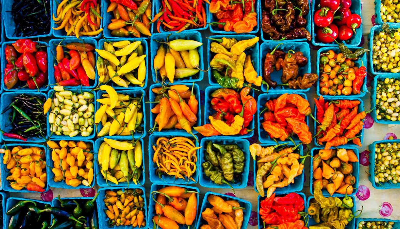 An overview of various chili peppers