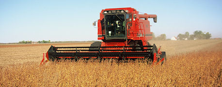 soybean harvest red tractor