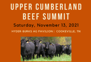 Upper Cumberland Beef Summit | November 13, 2021