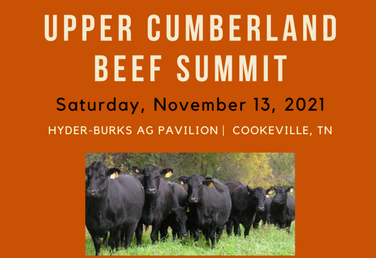Upper Cumberland Beef Summit | November 13, 2021