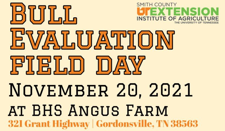 Bull Evaluation Field Day | November 20, 2021