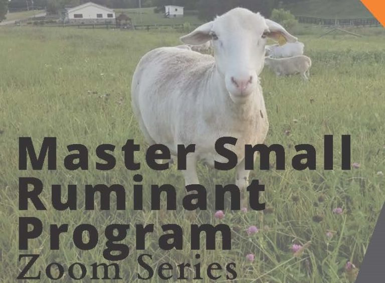 Master Small Ruminant Producer Zoom Series | Spring 2022