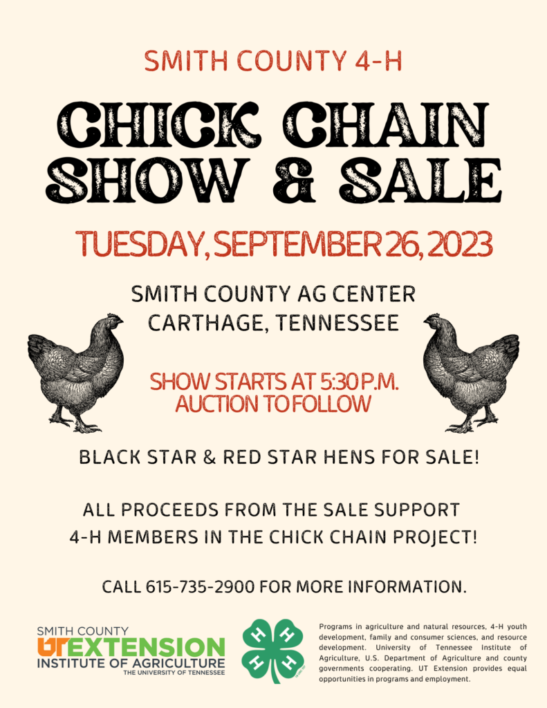 4-H Chick Chain Show & Sale | September 26, 2023 | Smith County