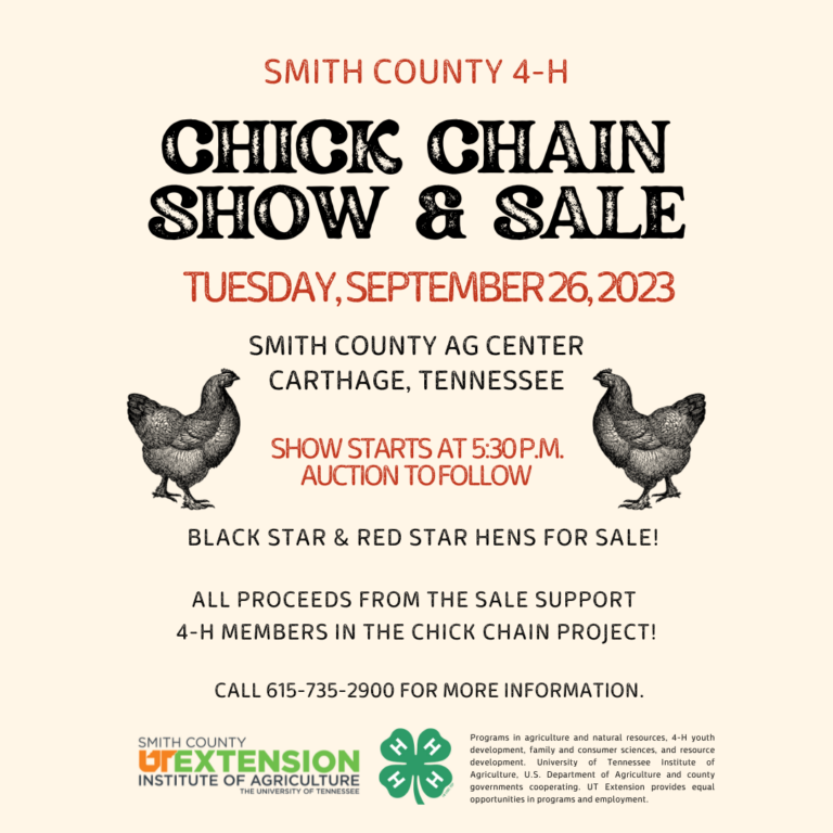 4-H Chick Chain Show & Sale | September 26, 2023