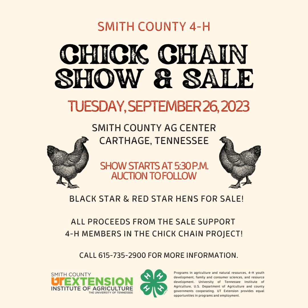 4-H Chick Chain Show & Sale | September 26, 2023 | Smith County