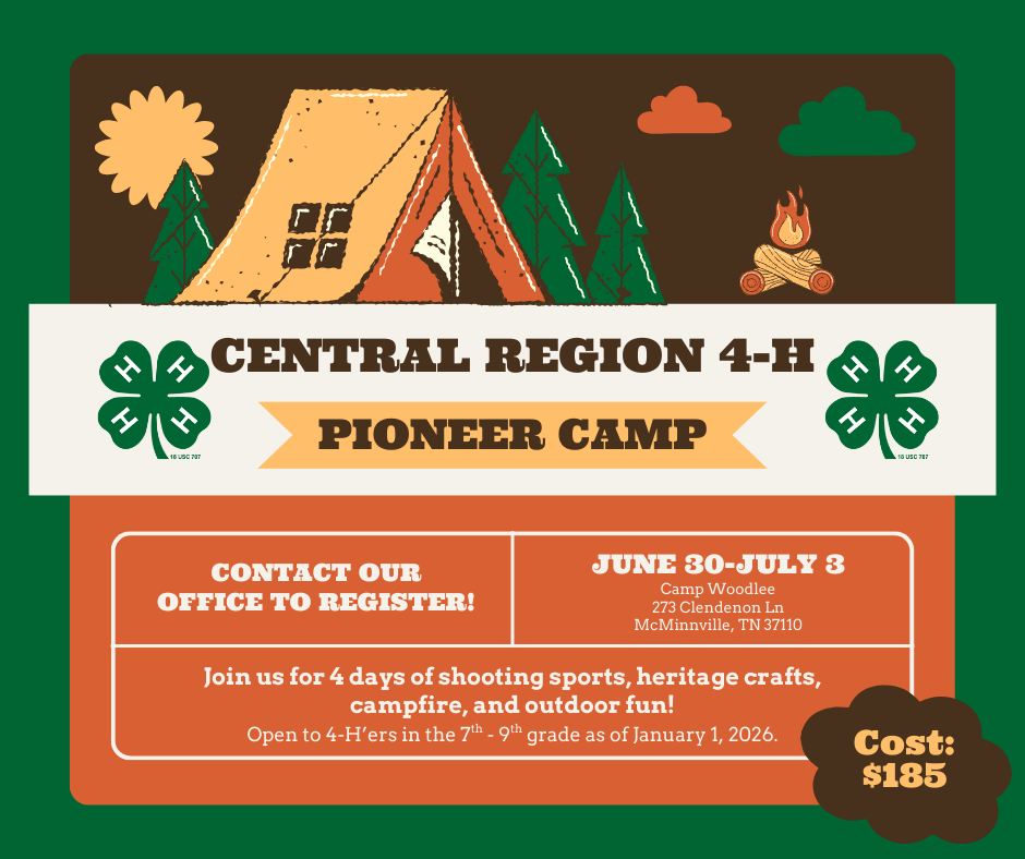 Pioneer Camp Information