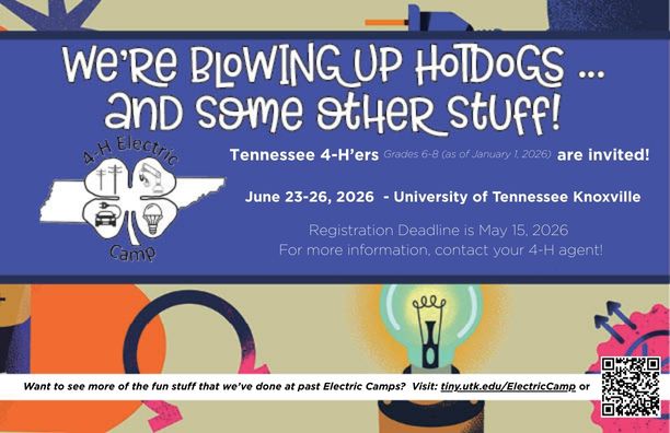 We're blowing up hotdogs and some other stuff! Information about TN 4-H Electric Camp